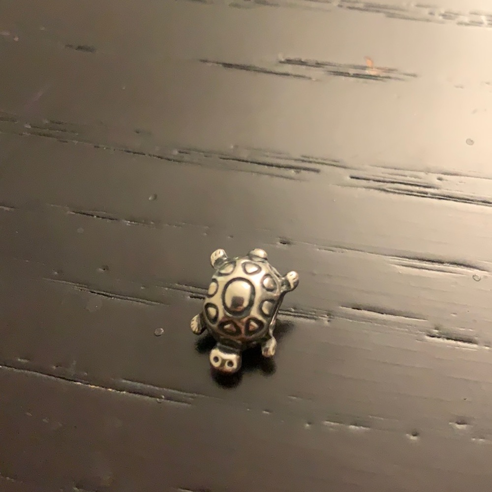 Pandora turtle charm